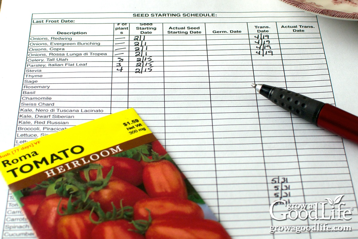 Hogyan készítsünk vetési ütemtervet a zöldségeskertünkhöz?