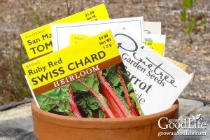 Különböző Magtípusok: Hibrid, Tájfajta, Bio, Szabad Beporzású és GMO-mentes Magvak