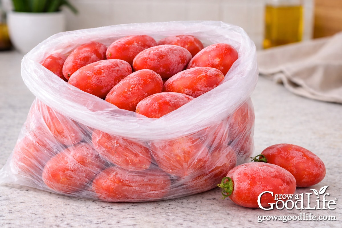 Hogyan fagyasszuk le a paradicsomot későbbi főzéshez vagy befőzéshez?