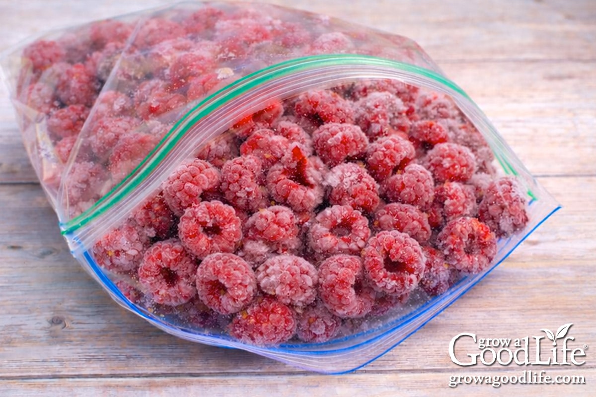 Hogyan Fagyasszuk le a Málnát (Frissen vagy Bolti Változatban)